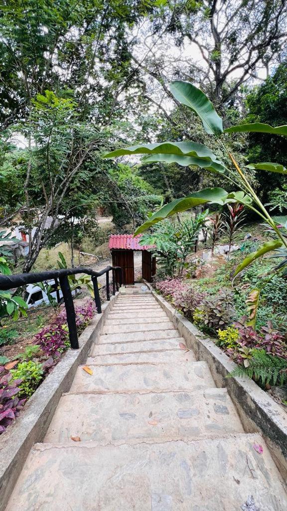 Hostal La Roca De Minca Ngoại thất bức ảnh